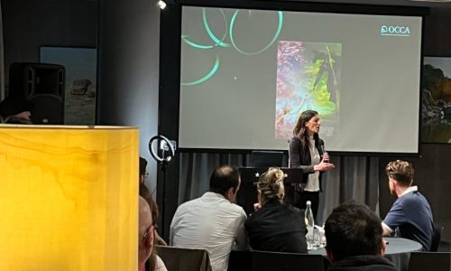 WhatsApp Image 2025-04-27 at 19.05.00